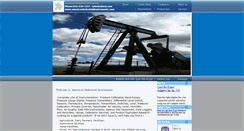 Desktop Screenshot of americanindustrialinstruments.com